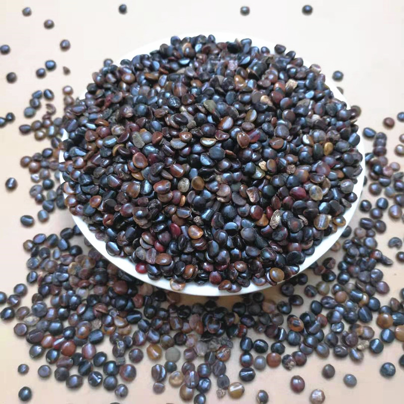 Zhi Ju Zi Dried Hovenia Dulcis Seeds 500g Traditional Chinese Herbal Ingredient for Cooking and Decoction specifications