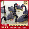Black Swan Seedling Price Rare breed Base Black Swan How many? One Park Watch Black Swan