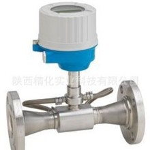 ENDRESS+HOURSE Proline Prosonic FlowE100PӋ