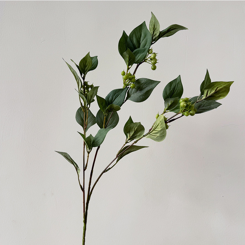 한국식 백화잎-녹색