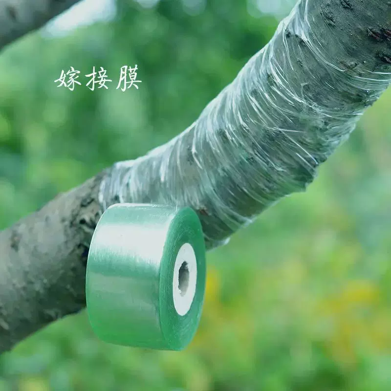 现货PVC果树嫁接膜缠绕膜透明拉伸薄膜园林苗木保护膜快速拿样