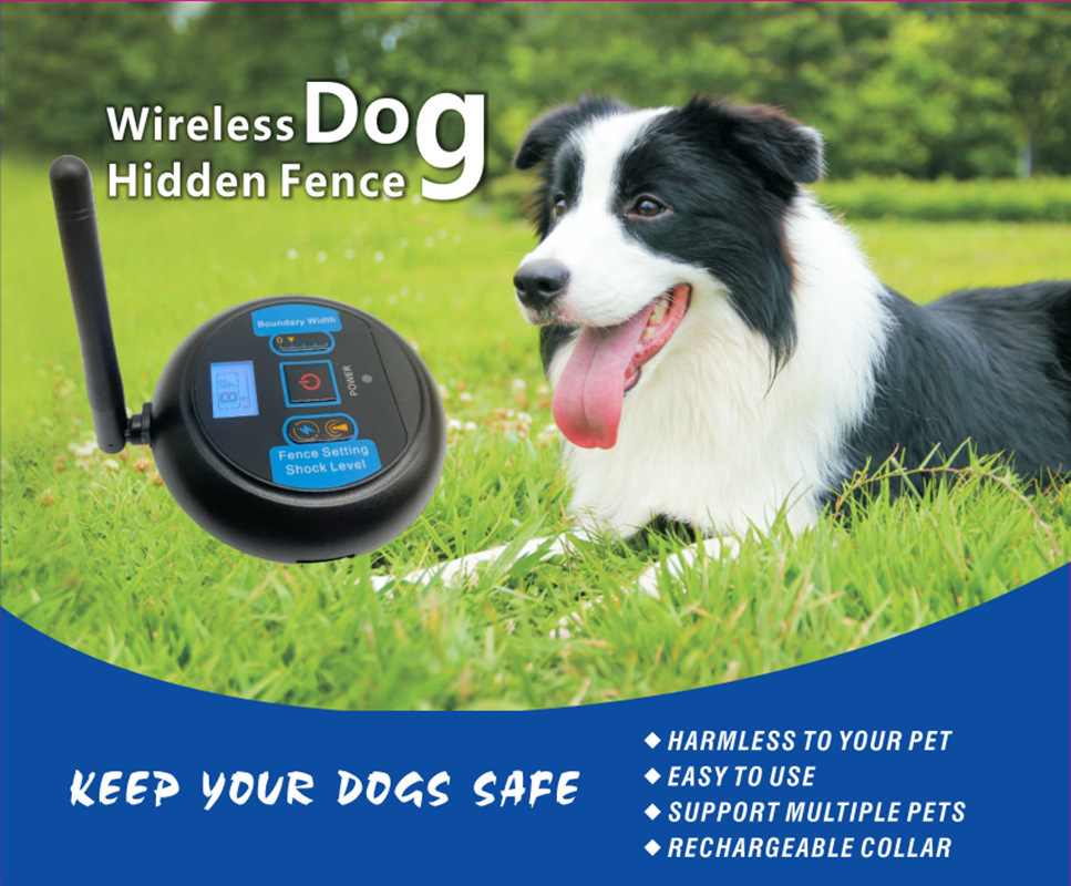 (Cross-border trading), wireless electronic fence for training