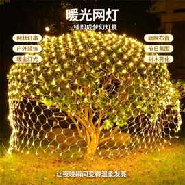 亮化工程LED渔网灯彩灯网 串灯闪灯户外防水圣诞婚庆满天星装饰灯