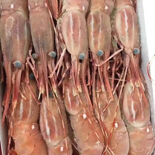 ����ĵ���r�ك�����r����ƴ�P��ʳ���rĵ���r20/24ֻ2�������