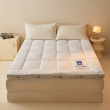 ���Rԁ�����z���|���Ǽ��Ƶ괲�|ϯ��˼ӛ���޼Ӻ�30cm�o����ܛ�|