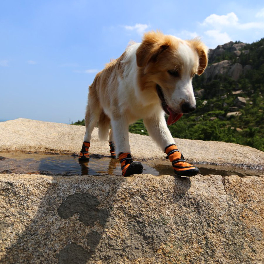 Zapatos para perros de fondo suave antideslizante medio perro zapatos para mascotas Botas de lluvia impermeables zapatos para perros sin gota zapatos para mascotas de invierno al por mayor