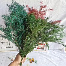 ��Ϲ��S���l����ǧ�ӽ� �������rǧ�ӽ� ��c���c�b���������