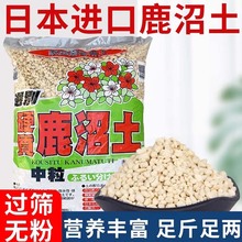 铺面石专用营养土颗粒土鹿沼土日本进口多肉弱酸盆景兰花土纯颗粒