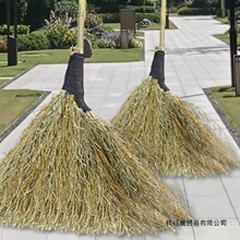 金丝草扫把扫马路户外庭院农村家用院子专用老式无叶观音草竹扫帚