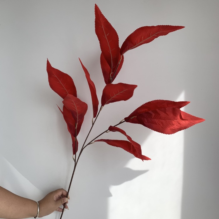 微信图片_202309201450101_副本