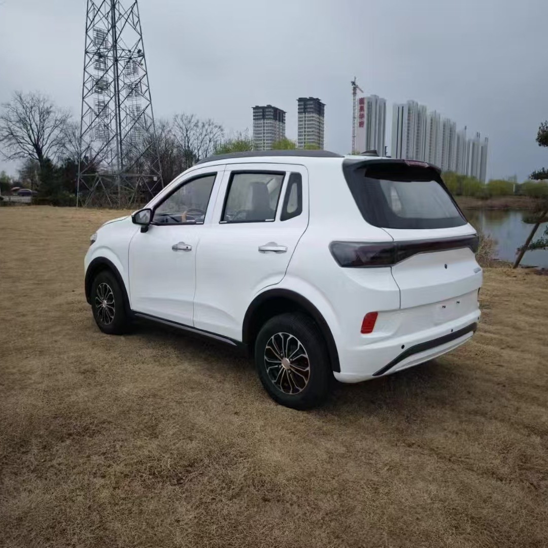 家用女士接送孩子老头乐代步车四轮车成年人4轮电动车可上牌