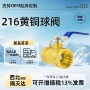 大体防爆加厚216球阀