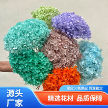 ?���߆�֧���Ƚ�����ֶY����ɻ���������Ҿ��b廨��ɫ���l