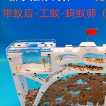 Λρ�Ǳ�����ρ���º��ի@ρ�̌W���B�䲿�������̌WΛρ�C����
