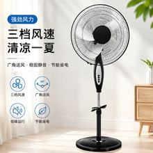 ����16���е�������Ҷ������������ټ������ֹ��ҡͷ�����