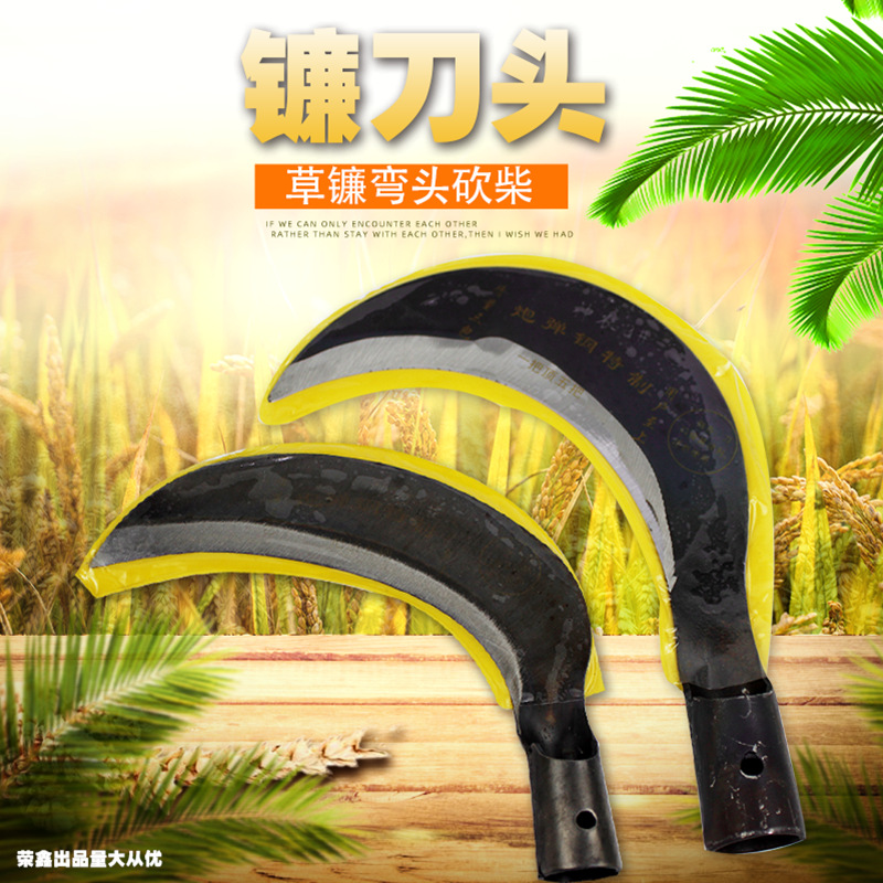 QQ图片20211123094233