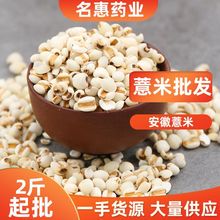 大货批发 薏苡仁 散装薏米仁 五谷杂粮 代磨粉 量大从优