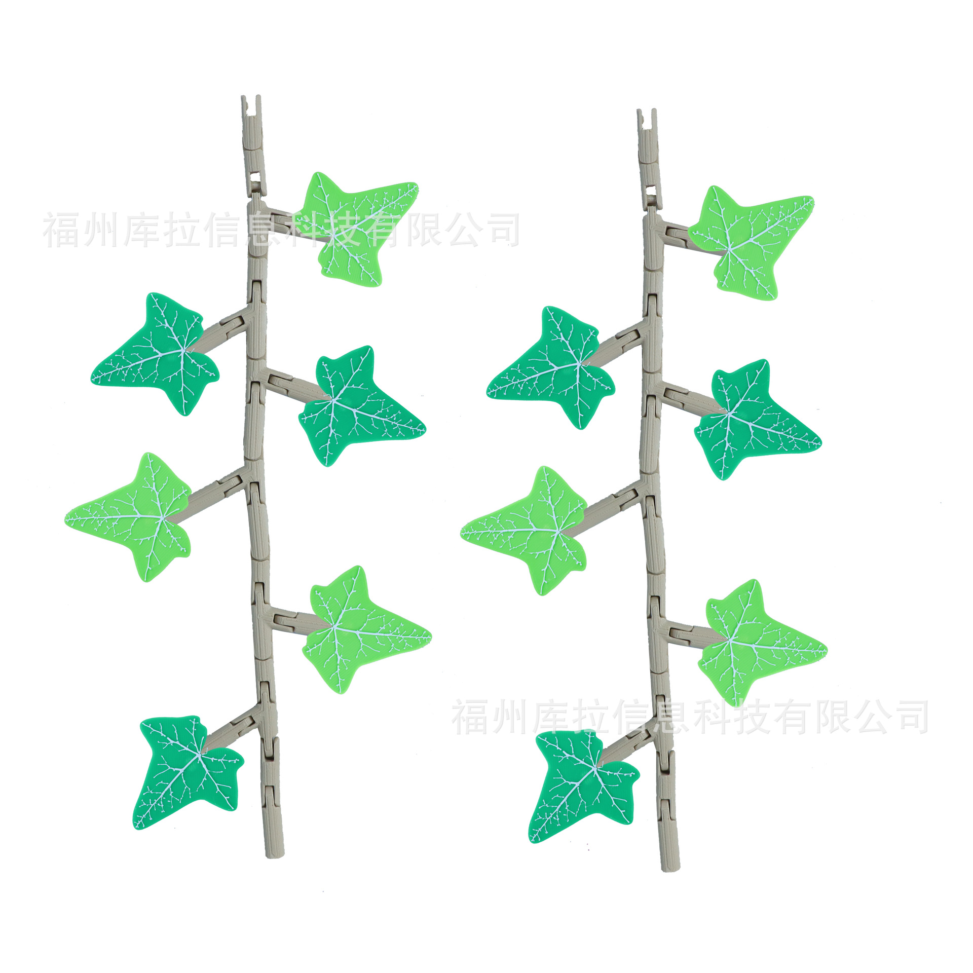 2개(덩굴 1개 20cm, 잎 6개, 2세트)