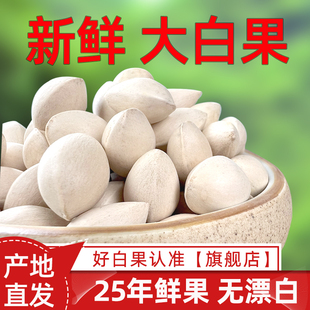 ��Ʒ�|�����2025�����r��׹��r�y�ӹ����������Ҝ���ˮ���ϵ���