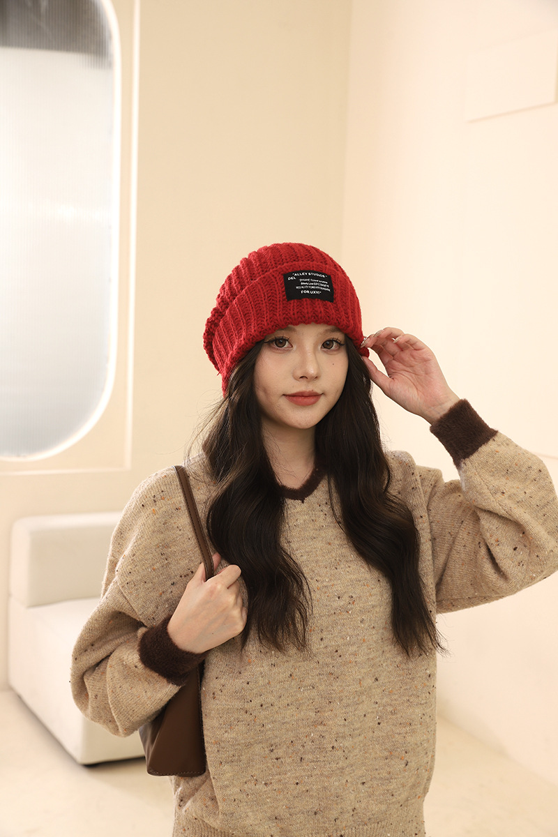 Lana oversize tinta unita per autunno e inverno, pile lavorato a maglia, versione coreana, coppia femminile all'aperto, escursioni calde_voghion.com