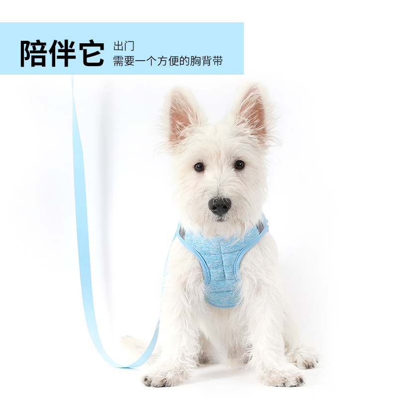 Armadura de perro chaleco correa de pecho gato pequeño perro caminando perro cuerda