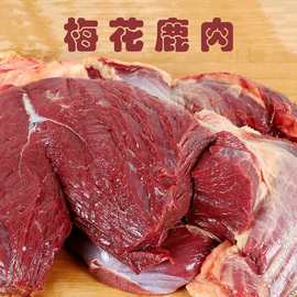 鲜鹿肉 吉林鹿乡鹿肉厂家批发梅花鹿鲜鹿肉鲜鹿肉批发诚招代理