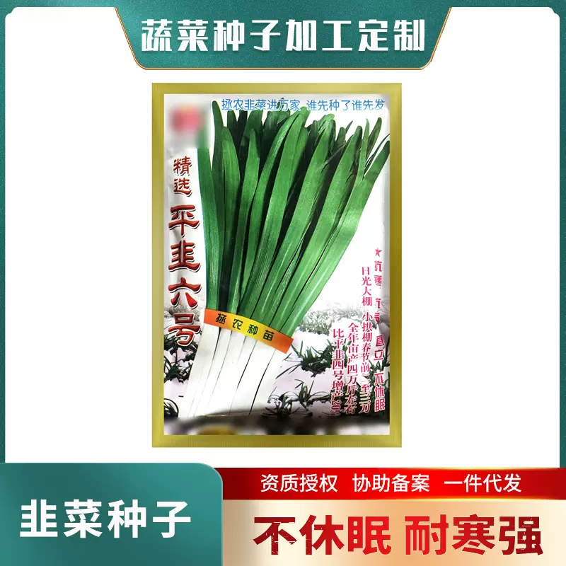 大韭菜种籽 平韭6号叶片宽大 200g 耐寒不休眠菜农基地用韭菜种子