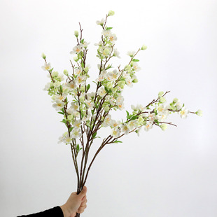 �羳�����һ��O�����҃ȷ��滨��֦��c�b����[��