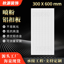 喷粉铝扣板全孔300*600抗油污厨房卫生间阳台集成吊顶厂家