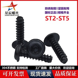 304���P䓺�ɫ�P�^÷�����|ƽβ�Թ��zF�̓�������܇����������