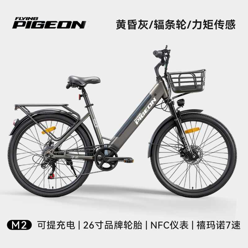Batería desmontable paloma eléctrica asistida bicicleta de montaña nueva batería de litio estándar nacional para hombres y mujeres vehículos eléctricos de asistencia de viaje