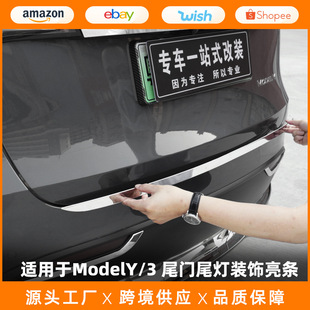 �m�����˹��ModelY���ú����l���P�β�T��ܺ��F���b����l