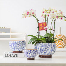 ����ʽ���L�໨�ɻ����մɺ����m�������^�껨�M���軨���͹Ż�ƿ