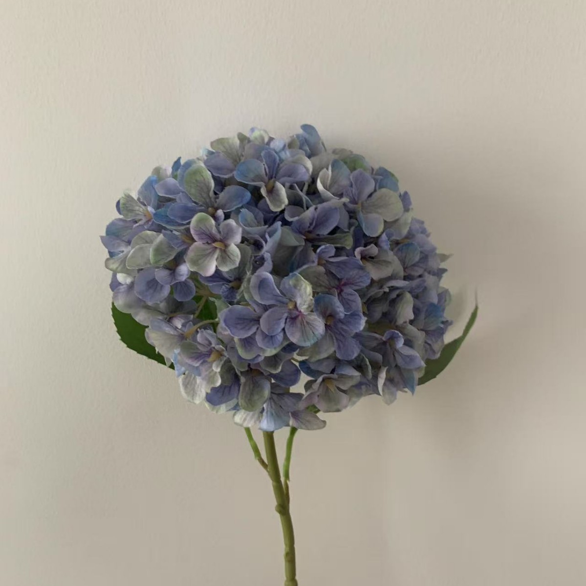 가을 블루