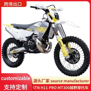 ˹�м{H11?1 PRO MT300 ԽҰĦ�� 300cc���_��ˮ����R������