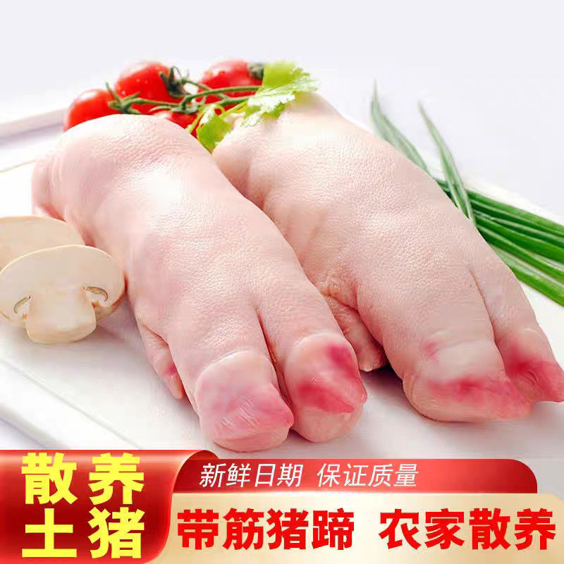 大号猪蹄带筋猪脚猪手猪爪家用猪蹄猪手新鲜冷冻猪肉工厂一件批发