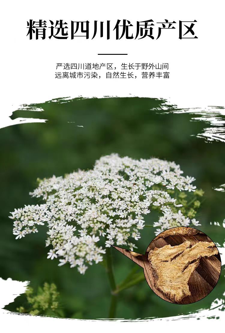 Du Huo Slices (Angelica pubescens) — Sichuan Dried Herb, 500g overview