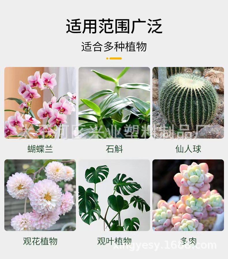 微信图片_20241219123914