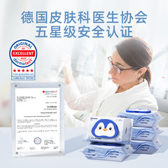 Pure Water Wet Toilet Paper Economical Family Pack Flushable Wet Wipes for Both Men and Women, 40 Sheets per Pack, 3 Packs