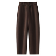 棕色弯刀休闲裤女2025新款秋季高腰梨形身材松紧腰百搭九分哈伦裤