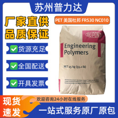 耐摩耗性 PET アメリカデュポン FR530NC010 コイルスケルトン電子および電気アプリケーショングラスファイバー強化 30% 原料