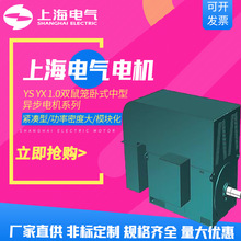 上海电气集团上海电机厂电动机YS/YX1.0双鼠笼卧式中型异步电机厂