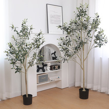 ���R�d����Gֲ�����ϙ�����Ҿ�������Ԕ[�ň@���쾰���ϙ��