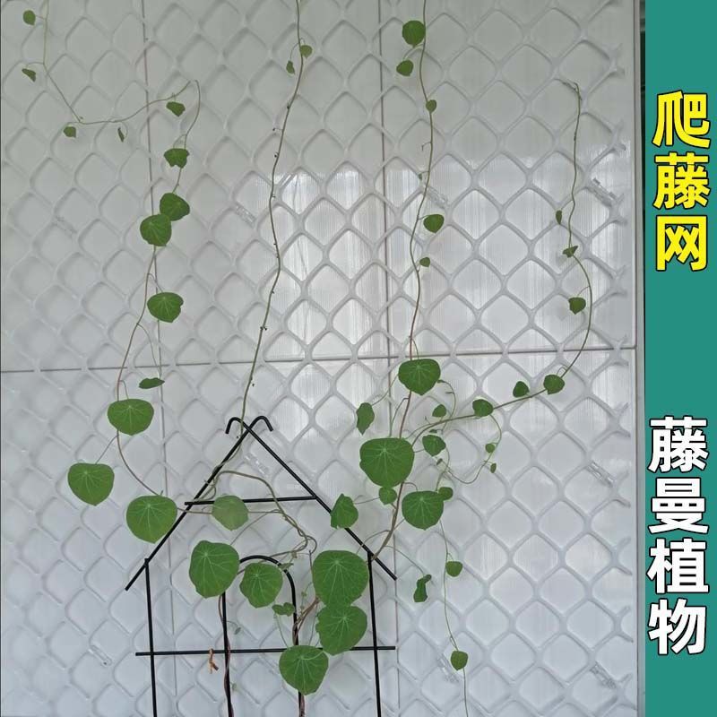 Stephania cepharantha Hayata Climbing Net Scindapsus Climbing Water pipe Clematis Rose Chinese rose Climbing grid simple and easy Decorated wall