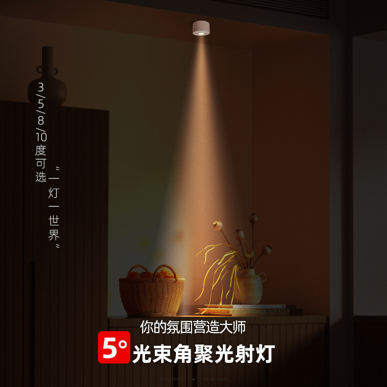 一束の集光スポットライトは超薄型の小さい角度5w茶室の雰囲気の明かりの3度の8度の10度の食卓の博物館の明かりをつけます。|undefined