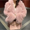Pink (big suit collar)