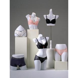 Underwear Model Display Stand for Men and Women Half-Length Push-Up Bra and Underwear Model Stand Fake Mannequin Props Chest Model