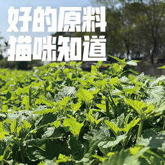 Parji snapping catnip cat toy simulated fish and wood polygonum tea stick to grind teeth and self-pleasure cat to relieve boredom