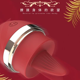 震动棒;情趣跳蛋;女用穿戴