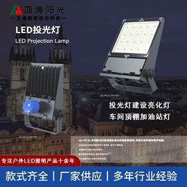 道路照明灯;路灯;景观灯